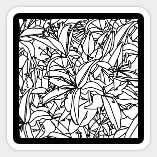 Lily Flowers Line Drawing Black and White Sticker